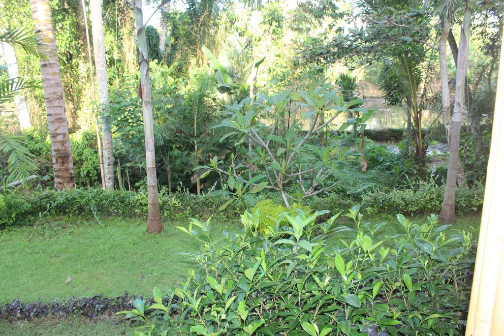 Serenity Ubud Villa & Spa Exteriör bild